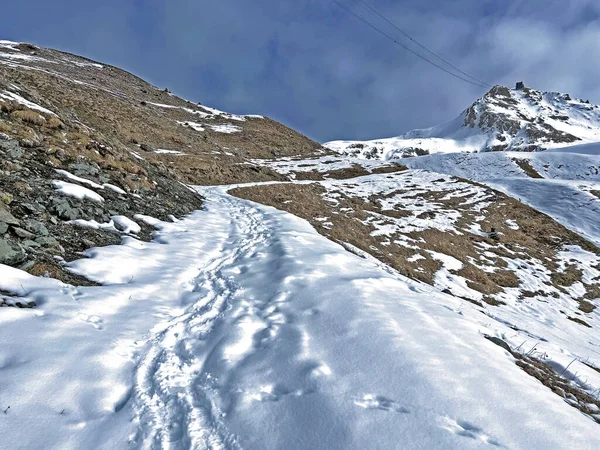 Wonderful Winter Hiking Trails Traces Fresh Alpine Snow Cover Swiss — 스톡 사진
