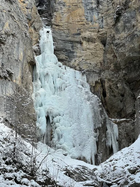 ティールバッハ アイズフォールまたはティエール クリーク アイスフォール ティエール川の氷瀑 スイスのアルプスの冬のリゾート地 スイスのグリソン県 スイス の麓にあります — ストック写真