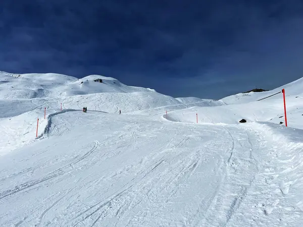 Amazing Sport Recreational Snowy Winter Tracks Skiing Snowboarding Alpine Swiss — Stockfoto