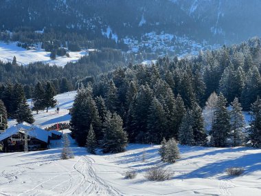 İsviçre Alpleri 'ndeki Valbella ve Lenzerheide tatil beldelerinin üzerindeki kar yağışı sonrası tipik bir kış atmosferindeki alp ağaçlarının resimli gölgeleri - İsviçre' deki Grisonlar Kantonu (Schweiz)