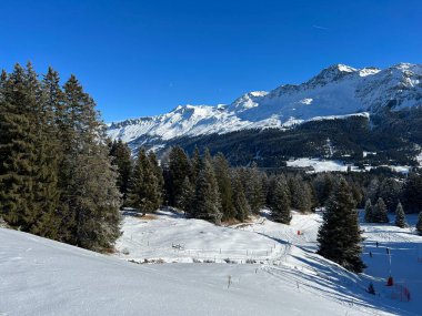 İsviçre Alpleri 'ndeki Valbella ve Lenzerheide tatil beldelerinin üzerindeki kar yağışı sonrası tipik bir kış atmosferindeki alp ağaçlarının resimli gölgeleri - İsviçre' deki Grisonlar Kantonu (Schweiz)