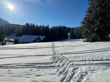 İsviçre Alpleri 'ndeki Valbella ve Lenzerheide tatil beldelerinin üzerindeki kar yağışı sonrası harika kış yürüyüş yolları ve izler İsviçre' nin Grisonlar Kantonu (Schweiz)