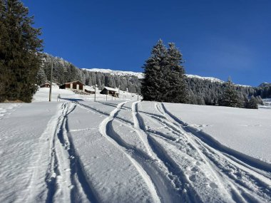 Wonderful winter hiking trails and traces after the winter snowfall above the tourist resorts of Valbella and Lenzerheide in the Swiss Alps - Canton of Grisons, Switzerland (Schweiz)