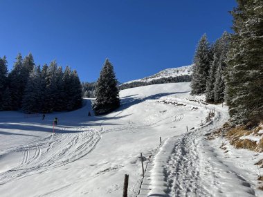 Wonderful winter hiking trails and traces after the winter snowfall above the tourist resorts of Valbella and Lenzerheide in the Swiss Alps - Canton of Grisons, Switzerland (Schweiz)