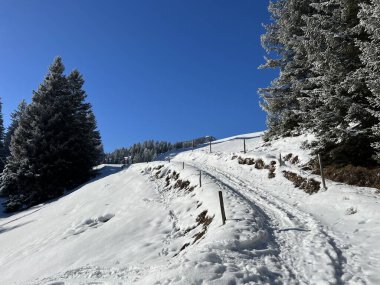 Wonderful winter hiking trails and traces after the winter snowfall above the tourist resorts of Valbella and Lenzerheide in the Swiss Alps - Canton of Grisons, Switzerland (Schweiz)