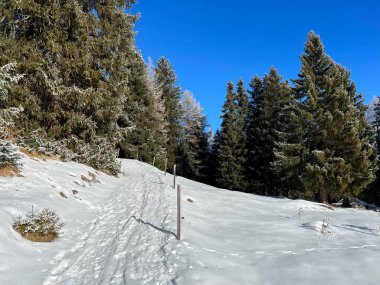 Wonderful winter hiking trails and traces after the winter snowfall above the tourist resorts of Valbella and Lenzerheide in the Swiss Alps - Canton of Grisons, Switzerland (Schweiz)