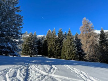 Wonderful winter hiking trails and traces after the winter snowfall above the tourist resorts of Valbella and Lenzerheide in the Swiss Alps - Canton of Grisons, Switzerland (Schweiz)