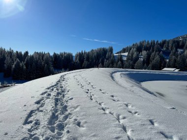 İsviçre Alpleri 'ndeki Valbella ve Lenzerheide tatil beldelerinin üzerindeki kar yağışı sonrası harika kış yürüyüş yolları ve izler İsviçre' nin Grisonlar Kantonu (Schweiz)