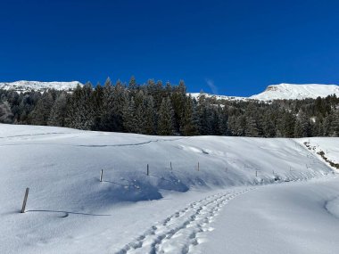 İsviçre Alpleri 'ndeki Valbella ve Lenzerheide tatil beldelerinin üzerindeki kar yağışı sonrası harika kış yürüyüş yolları ve izler İsviçre' nin Grisonlar Kantonu (Schweiz)