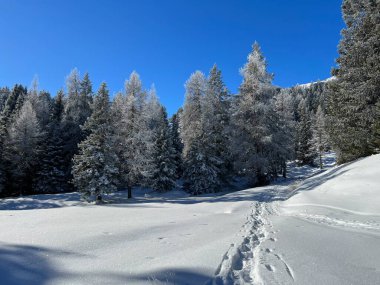 Wonderful winter hiking trails and traces after the winter snowfall above the tourist resorts of Valbella and Lenzerheide in the Swiss Alps - Canton of Grisons, Switzerland (Schweiz)