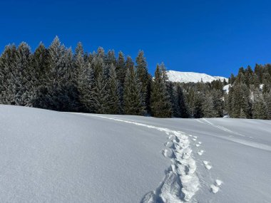 Wonderful winter hiking trails and traces after the winter snowfall above the tourist resorts of Valbella and Lenzerheide in the Swiss Alps - Canton of Grisons, Switzerland (Schweiz)