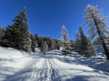 İsviçre Alpleri 'ndeki Valbella ve Lenzerheide tatil beldelerinin üzerindeki kar yağışı sonrası harika kış yürüyüş yolları ve izler İsviçre' nin Grisonlar Kantonu (Schweiz)