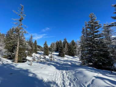 Wonderful winter hiking trails and traces after the winter snowfall above the tourist resorts of Valbella and Lenzerheide in the Swiss Alps - Canton of Grisons, Switzerland (Schweiz)