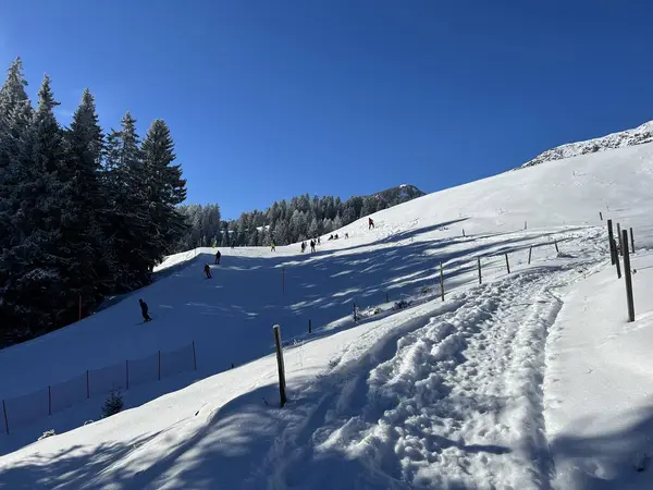 素晴らしい冬のハイキングコースとスイスアルプスのバルベラとレンツェルハイデの観光リゾートの上の冬の雪の後の痕跡 スイスのグリソンのカントン スイス — ストック写真
