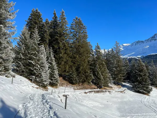 Wonderful Winter Hiking Trails Traces Winter Snowfall Tourist Resorts Valbella — Stock fotografie