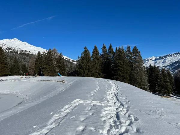 Maravilhosas Trilhas Para Caminhadas Inverno Vestígios Após Queda Neve Inverno — Fotografia de Stock