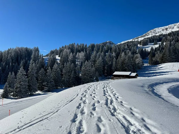 Wonderful Winter Hiking Trails Traces Winter Snowfall Tourist Resorts Valbella — Stock Photo, Image
