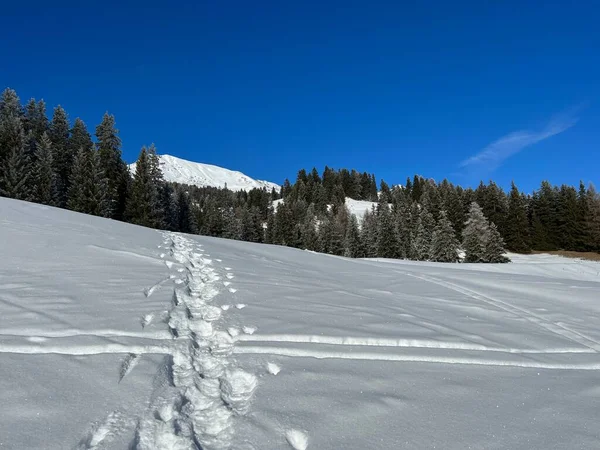 stock image Wonderful winter hiking trails and traces after the winter snowfall above the tourist resorts of Valbella and Lenzerheide in the Swiss Alps - Canton of Grisons, Switzerland (Schweiz)