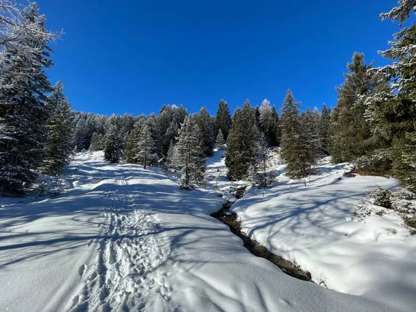Wonderful Winter Hiking Trails Traces Winter Snowfall Tourist Resorts Valbella — 스톡 사진