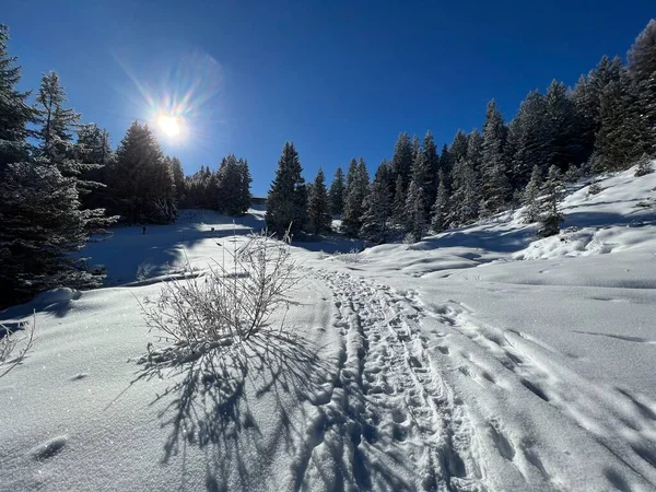 Wonderful Winter Hiking Trails Traces Winter Snowfall Tourist Resorts Valbella — Stok Foto
