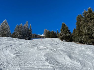 İsviçre Alpleri 'ndeki Valbella ve Lenzerheide tatil beldelerinin üzerindeki kar yağışı sonrası tipik bir kış atmosferindeki alp ağaçlarının resimli gölgeleri - İsviçre' deki Grisonlar Kantonu (Schweiz)