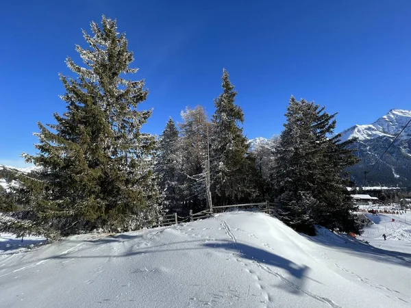 스위스 알프스산맥의 휴양지인 벨라와 레제르 헤이드 겨울철 전형적 겨울철 기후에 — 스톡 사진