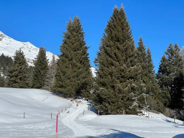 Sviçre Alpleri Ndeki Valbella Lenzerheide Tatil Beldelerinin Üzerindeki Kar Yağışı — Stok fotoğraf