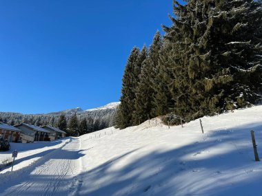 İsviçre Alpleri 'ndeki Valbella ve Lenzerheide tatil beldelerinde yürüyüş, yürüyüş, yürüyüş, spor ve dinlenme için mükemmel bir şekilde düzenlenmiş ve temizlenmiş kış patikaları - İsviçre' deki Grisonlar Kantonu, İsviçre (Schweiz)