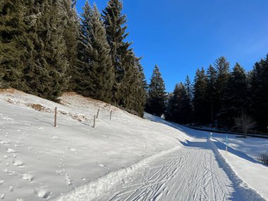 İsviçre Alpleri 'ndeki Valbella ve Lenzerheide tatil beldelerinde yürüyüş, yürüyüş, yürüyüş, spor ve dinlenme için mükemmel bir şekilde düzenlenmiş ve temizlenmiş kış patikaları - İsviçre' deki Grisonlar Kantonu, İsviçre (Schweiz)