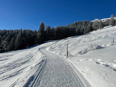 İsviçre Alpleri 'ndeki Valbella ve Lenzerheide tatil beldelerinde yürüyüş, yürüyüş, yürüyüş, spor ve dinlenme için mükemmel bir şekilde düzenlenmiş ve temizlenmiş kış patikaları - İsviçre' deki Grisonlar Kantonu, İsviçre (Schweiz)