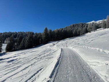 İsviçre Alpleri 'ndeki Valbella ve Lenzerheide tatil beldelerinde yürüyüş, yürüyüş, yürüyüş, spor ve dinlenme için mükemmel bir şekilde düzenlenmiş ve temizlenmiş kış patikaları - İsviçre' deki Grisonlar Kantonu, İsviçre (Schweiz)