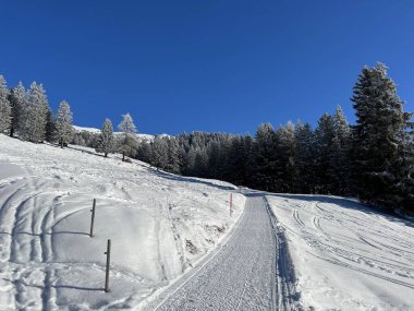 İsviçre Alpleri 'ndeki Valbella ve Lenzerheide tatil beldelerinde yürüyüş, yürüyüş, yürüyüş, spor ve dinlenme için mükemmel bir şekilde düzenlenmiş ve temizlenmiş kış patikaları - İsviçre' deki Grisonlar Kantonu, İsviçre (Schweiz)
