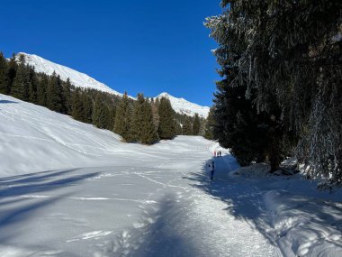 İsviçre Alpleri 'ndeki Valbella ve Lenzerheide tatil beldelerinde yürüyüş, yürüyüş, yürüyüş, spor ve dinlenme için mükemmel bir şekilde düzenlenmiş ve temizlenmiş kış patikaları - İsviçre' deki Grisonlar Kantonu, İsviçre (Schweiz)