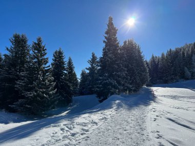 İsviçre Alpleri 'ndeki Valbella ve Lenzerheide tatil beldelerinde yürüyüş, yürüyüş, yürüyüş, spor ve dinlenme için mükemmel bir şekilde düzenlenmiş ve temizlenmiş kış patikaları - İsviçre' deki Grisonlar Kantonu, İsviçre (Schweiz)