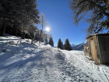 İsviçre Alpleri 'ndeki Valbella ve Lenzerheide tatil beldelerinde yürüyüş, yürüyüş, yürüyüş, spor ve dinlenme için mükemmel bir şekilde düzenlenmiş ve temizlenmiş kış patikaları - İsviçre' deki Grisonlar Kantonu, İsviçre (Schweiz)
