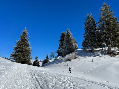 İsviçre Alpleri 'ndeki Valbella ve Lenzerheide tatil beldelerinde yürüyüş, yürüyüş, yürüyüş, spor ve dinlenme için mükemmel bir şekilde düzenlenmiş ve temizlenmiş kış patikaları - İsviçre' deki Grisonlar Kantonu, İsviçre (Schweiz)