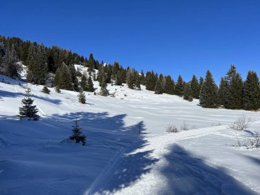 İsviçre Alpleri 'ndeki Valbella ve Lenzerheide tatil beldelerinde yürüyüş, yürüyüş, yürüyüş, spor ve dinlenme için mükemmel bir şekilde düzenlenmiş ve temizlenmiş kış patikaları - İsviçre' deki Grisonlar Kantonu, İsviçre (Schweiz)