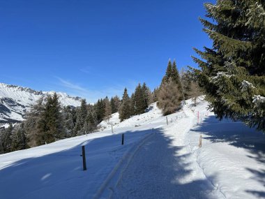 İsviçre Alpleri 'ndeki Valbella ve Lenzerheide tatil beldelerinde yürüyüş, yürüyüş, yürüyüş, spor ve dinlenme için mükemmel bir şekilde düzenlenmiş ve temizlenmiş kış patikaları - İsviçre' deki Grisonlar Kantonu, İsviçre (Schweiz)