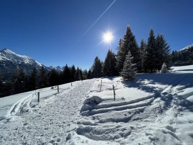 İsviçre Alpleri 'ndeki Valbella ve Lenzerheide tatil beldelerinde yürüyüş, yürüyüş, yürüyüş, spor ve dinlenme için mükemmel bir şekilde düzenlenmiş ve temizlenmiş kış patikaları - İsviçre' deki Grisonlar Kantonu, İsviçre (Schweiz)