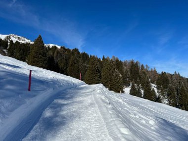 İsviçre Alpleri 'ndeki Valbella ve Lenzerheide tatil beldelerinde yürüyüş, yürüyüş, yürüyüş, spor ve dinlenme için mükemmel bir şekilde düzenlenmiş ve temizlenmiş kış patikaları - İsviçre' deki Grisonlar Kantonu, İsviçre (Schweiz)