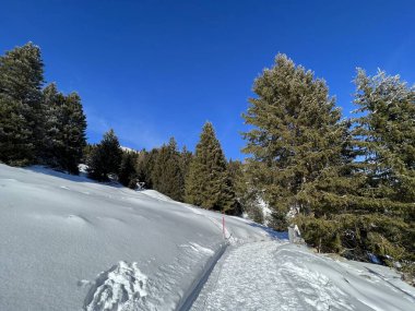 İsviçre Alpleri 'ndeki Valbella ve Lenzerheide tatil beldelerinde yürüyüş, yürüyüş, yürüyüş, spor ve dinlenme için mükemmel bir şekilde düzenlenmiş ve temizlenmiş kış patikaları - İsviçre' deki Grisonlar Kantonu, İsviçre (Schweiz)