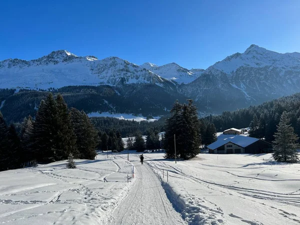 İsviçre Alpleri 'ndeki Valbella ve Lenzerheide tatil beldelerinde yürüyüş, yürüyüş, yürüyüş, spor ve dinlenme için mükemmel bir şekilde düzenlenmiş ve temizlenmiş kış patikaları - İsviçre' deki Grisonlar Kantonu, İsviçre (Schweiz)