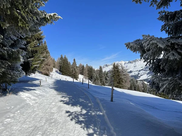 Sviçre Alpleri Ndeki Valbella Lenzerheide Tatil Beldelerinde Yürüyüş Yürüyüş Yürüyüş — Stok fotoğraf