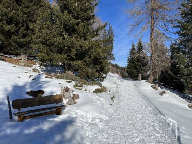 İsviçre Alpleri 'ndeki Valbella ve Lenzerheide tatil beldelerinde yürüyüş, yürüyüş, yürüyüş, spor ve dinlenme için mükemmel bir şekilde düzenlenmiş ve temizlenmiş kış patikaları - İsviçre' deki Grisonlar Kantonu, İsviçre (Schweiz)