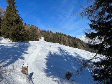 İsviçre Alpleri 'ndeki Valbella ve Lenzerheide tatil beldelerinde yürüyüş, yürüyüş, yürüyüş, spor ve dinlenme için mükemmel bir şekilde düzenlenmiş ve temizlenmiş kış patikaları - İsviçre' deki Grisonlar Kantonu, İsviçre (Schweiz)