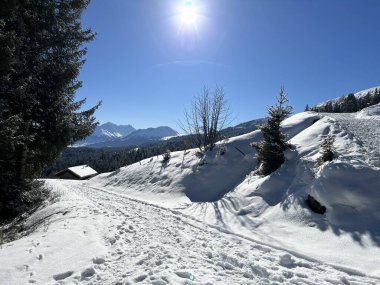 İsviçre Alpleri 'ndeki Valbella ve Lenzerheide tatil beldelerinde yürüyüş, yürüyüş, yürüyüş, spor ve dinlenme için mükemmel bir şekilde düzenlenmiş ve temizlenmiş kış patikaları - İsviçre' deki Grisonlar Kantonu, İsviçre (Schweiz)