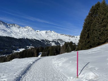 İsviçre Alpleri 'ndeki Valbella ve Lenzerheide tatil beldelerinde yürüyüş, yürüyüş, yürüyüş, spor ve dinlenme için mükemmel bir şekilde düzenlenmiş ve temizlenmiş kış patikaları - İsviçre' deki Grisonlar Kantonu, İsviçre (Schweiz)