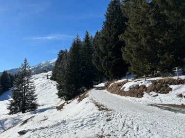İsviçre Alpleri 'ndeki Valbella ve Lenzerheide tatil beldelerinde yürüyüş, yürüyüş, yürüyüş, spor ve dinlenme için mükemmel bir şekilde düzenlenmiş ve temizlenmiş kış patikaları - İsviçre' deki Grisonlar Kantonu, İsviçre (Schweiz)
