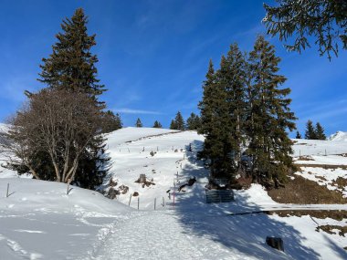 İsviçre Alpleri 'ndeki Valbella ve Lenzerheide tatil beldelerinde yürüyüş, yürüyüş, yürüyüş, spor ve dinlenme için mükemmel bir şekilde düzenlenmiş ve temizlenmiş kış patikaları - İsviçre' deki Grisonlar Kantonu, İsviçre (Schweiz)