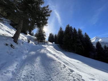 İsviçre Alpleri 'ndeki Valbella ve Lenzerheide tatil beldelerinde yürüyüş, yürüyüş, yürüyüş, spor ve dinlenme için mükemmel bir şekilde düzenlenmiş ve temizlenmiş kış patikaları - İsviçre' deki Grisonlar Kantonu, İsviçre (Schweiz)